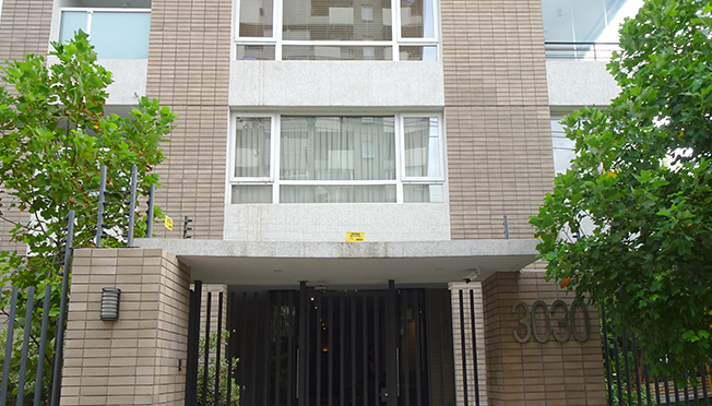 Owl Image