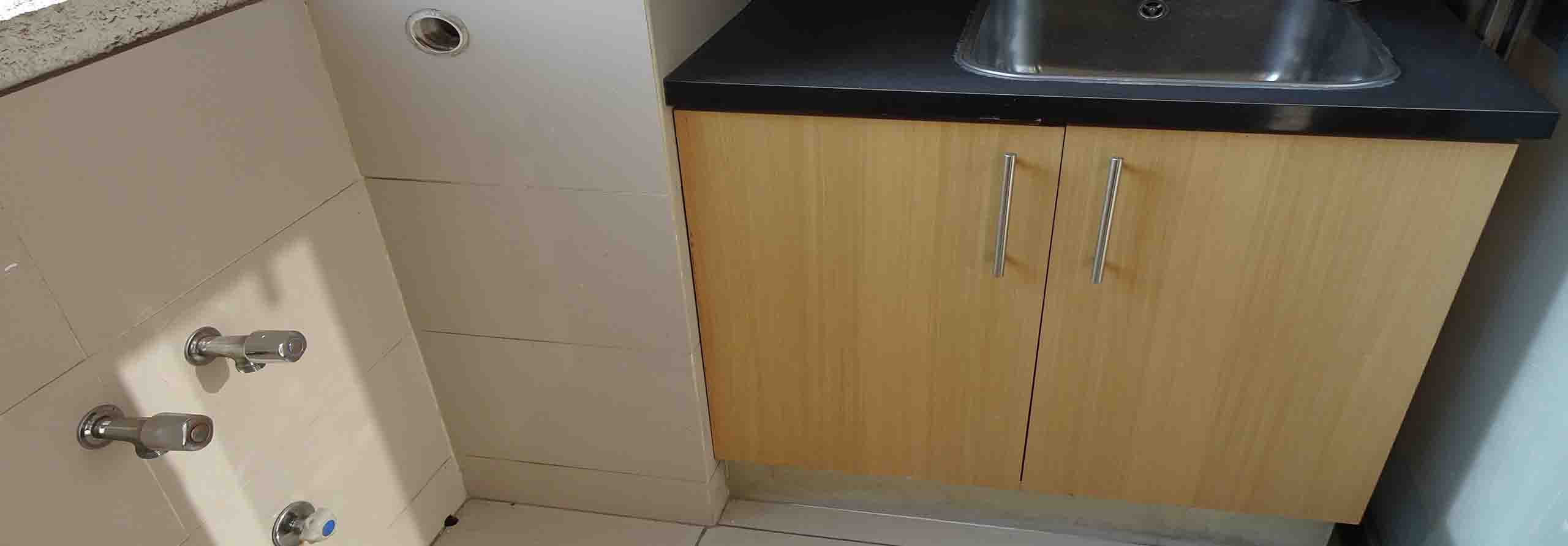 Owl Image