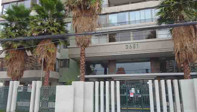 Owl Image
