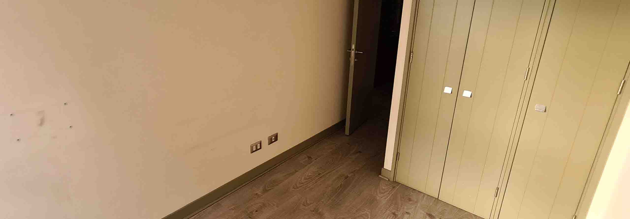 Owl Image