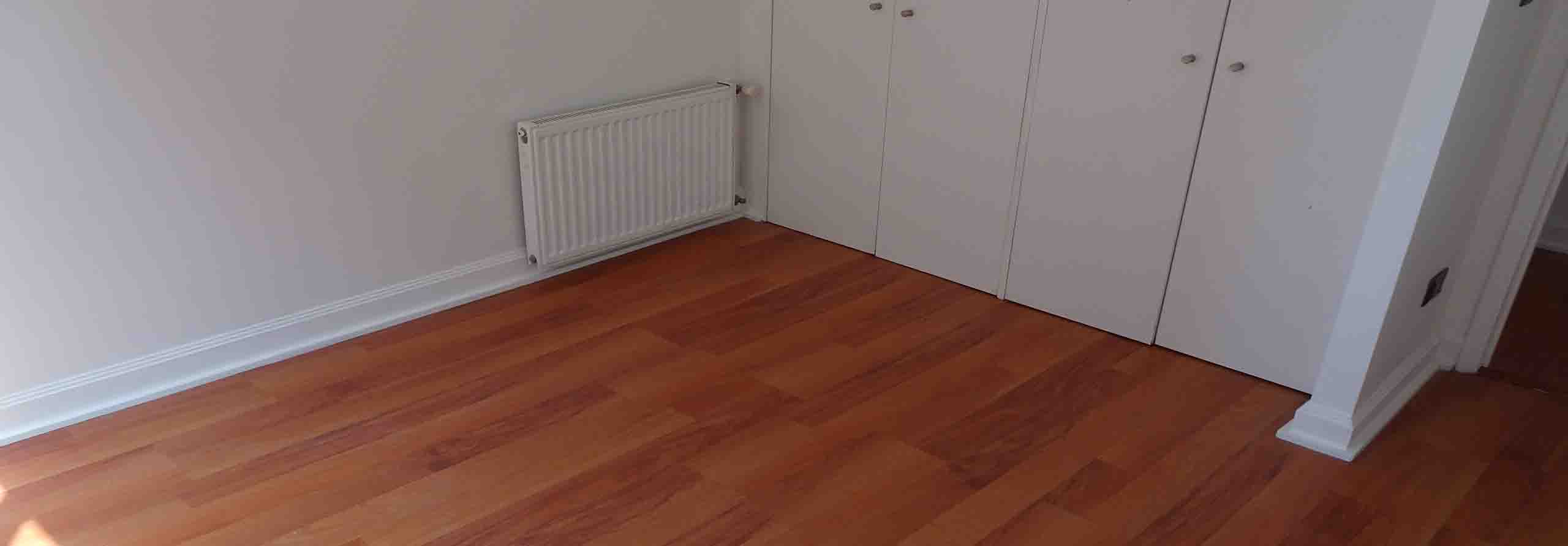 Owl Image