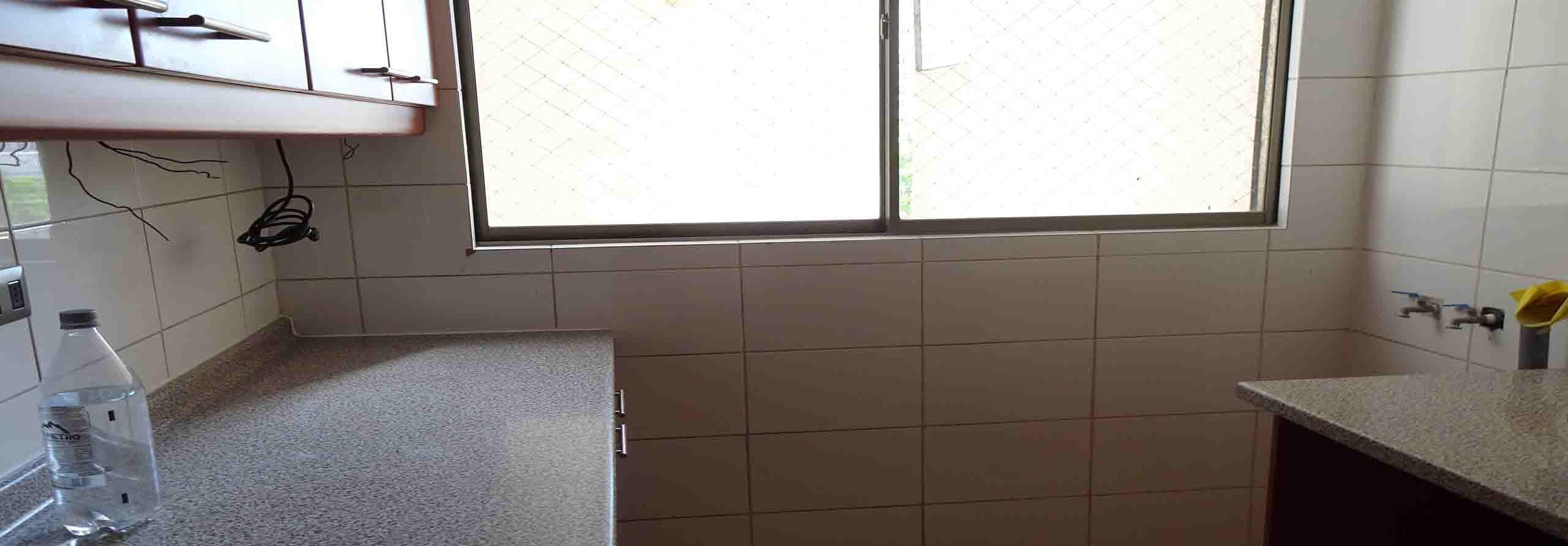 Owl Image