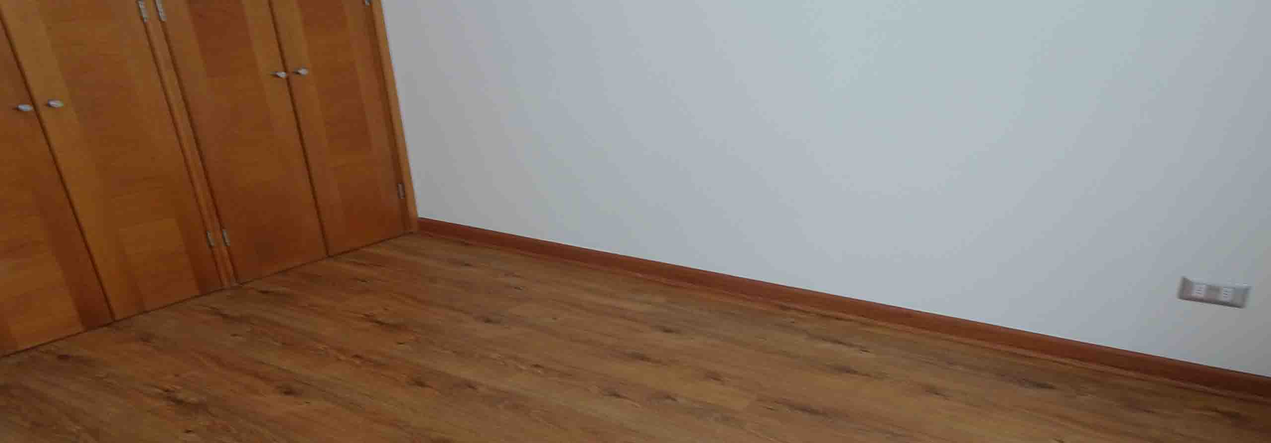 Owl Image