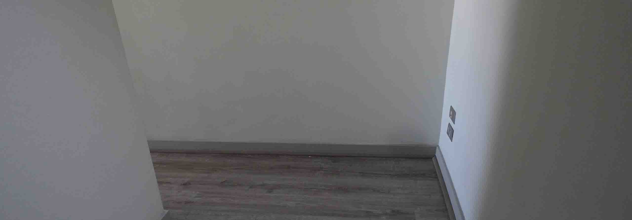 Owl Image