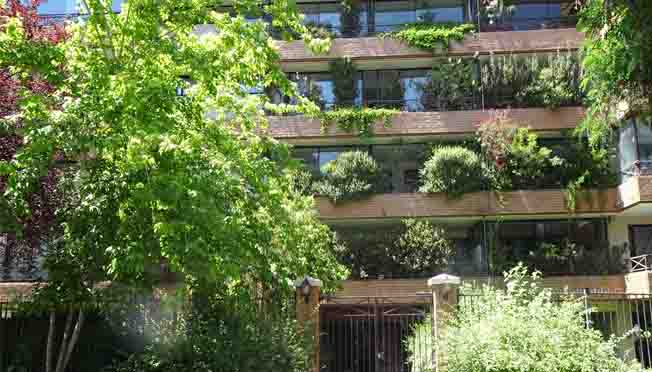 Las Dalias / Jorge Matte Gormaz