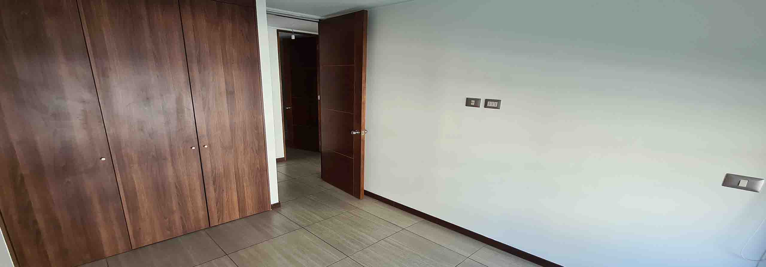 Owl Image
