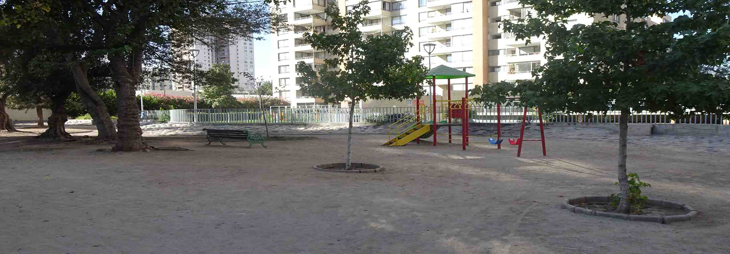 Owl Image