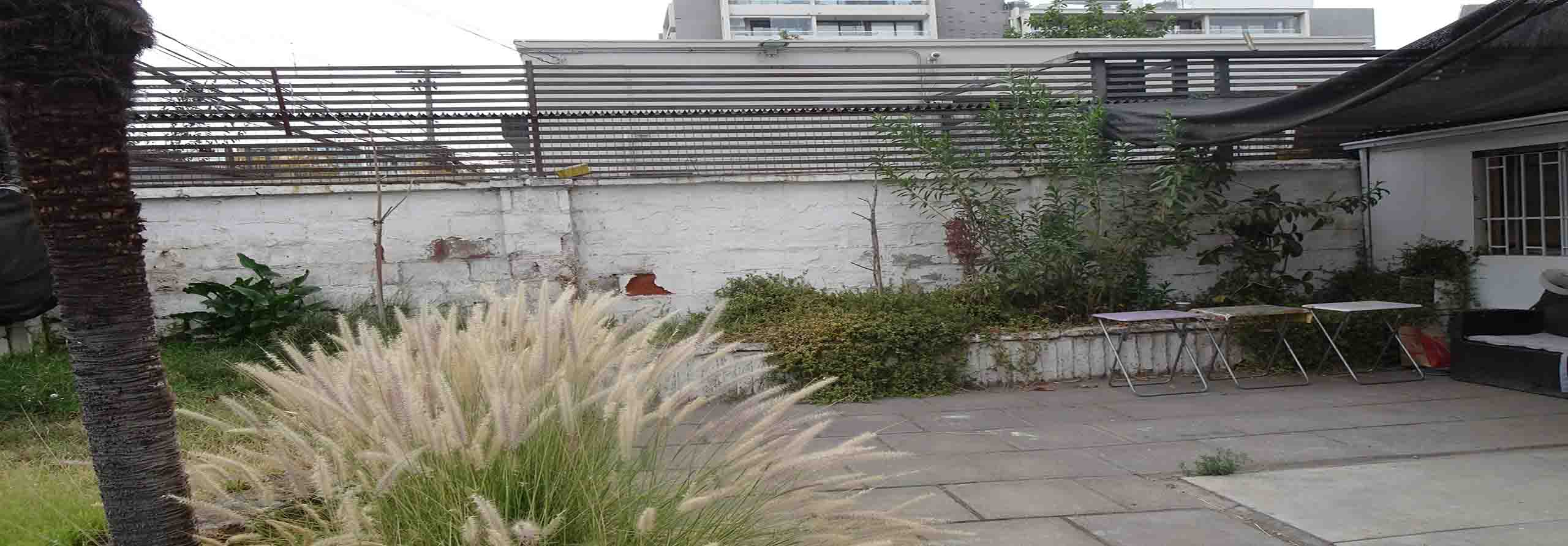 Owl Image