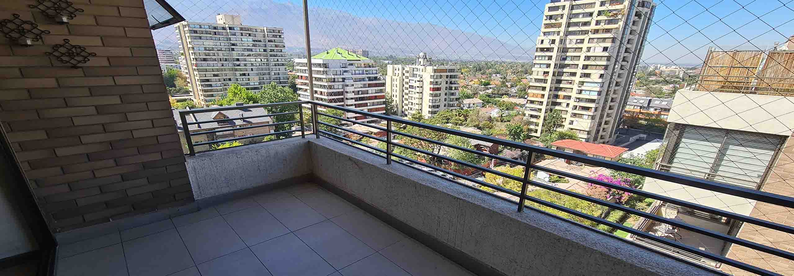 Owl Image