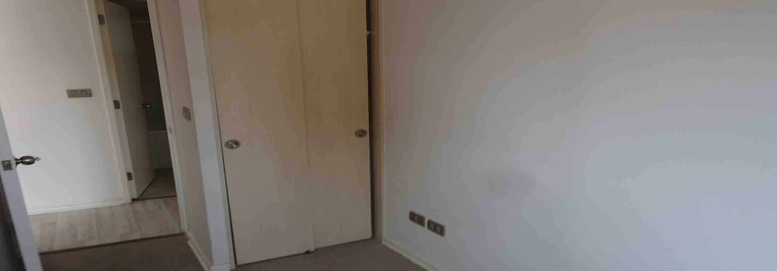 Owl Image