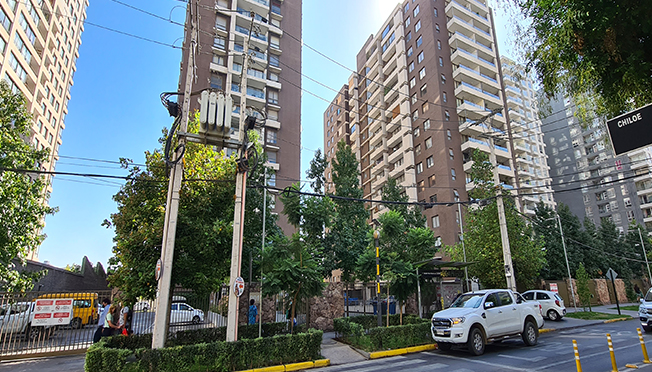 Owl Image