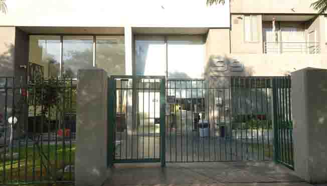 Owl Image